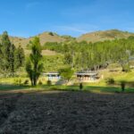 WhatsApp Image 2025-07-17 at 6.29.18 PM